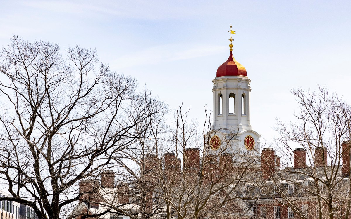 Harvard campus.