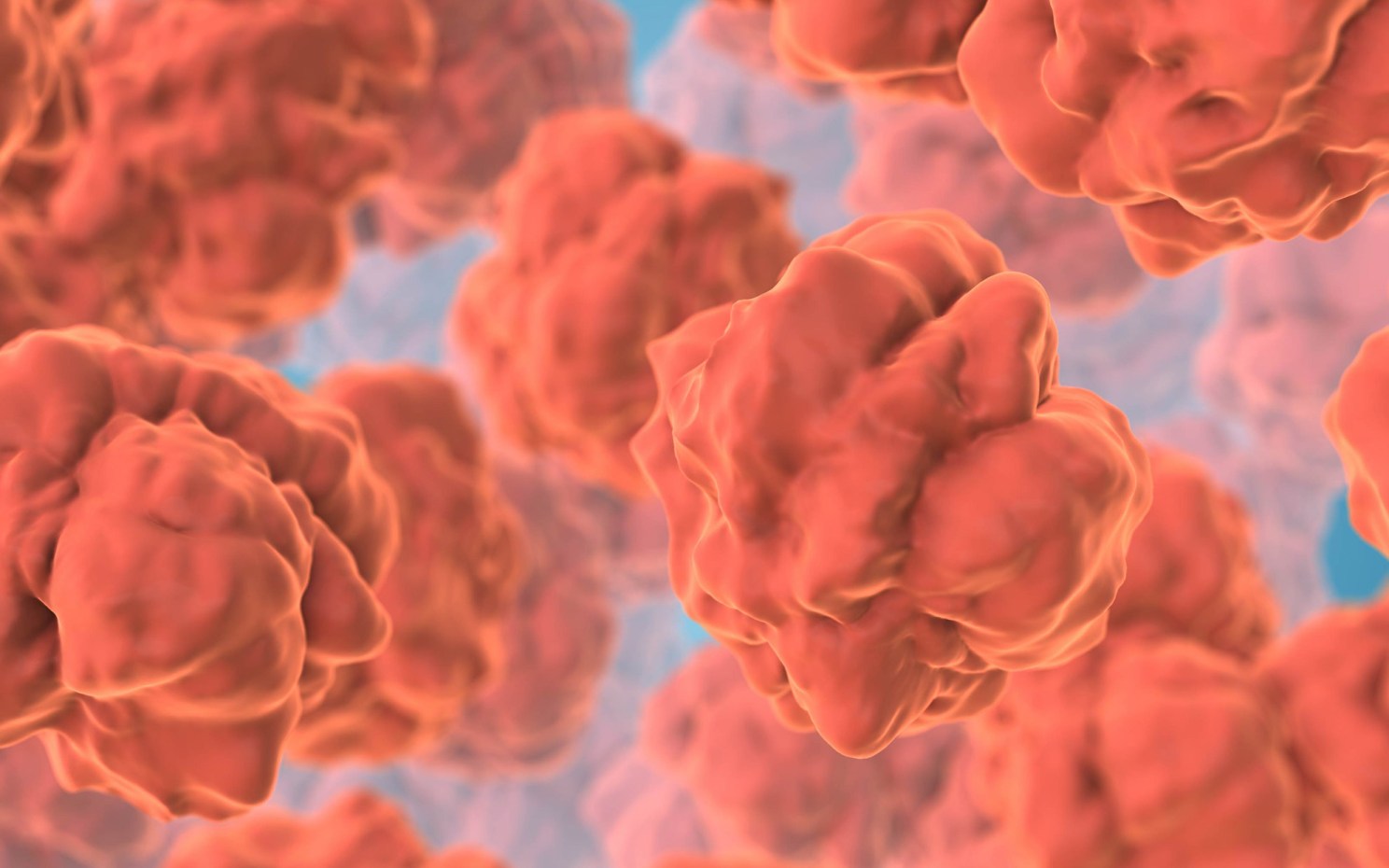 Digestive system epithelial cells form the protective inner lining of the gastrointestinal tract.