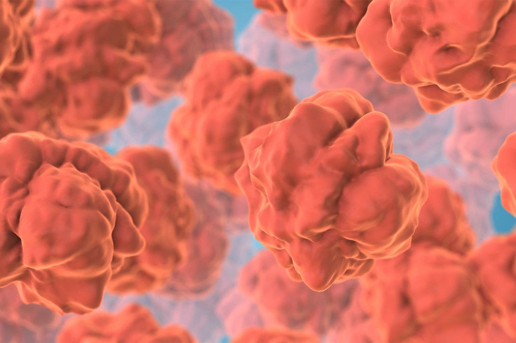 Digestive system epithelial cells form the protective inner lining of the gastrointestinal tract.