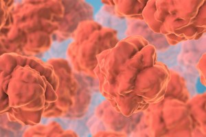 Digestive system epithelial cells form the protective inner lining of the gastrointestinal tract.