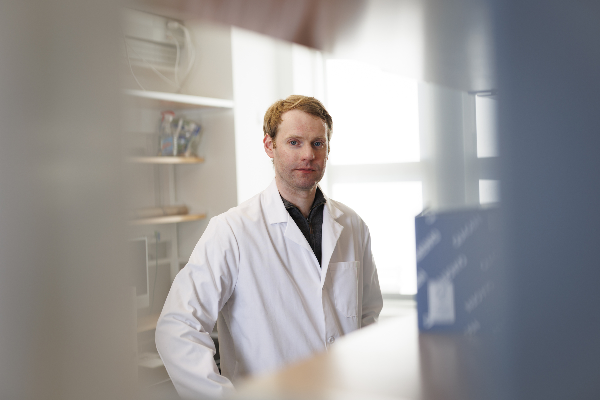 Daniel Lieberman busts exercising myths — Harvard Gazette