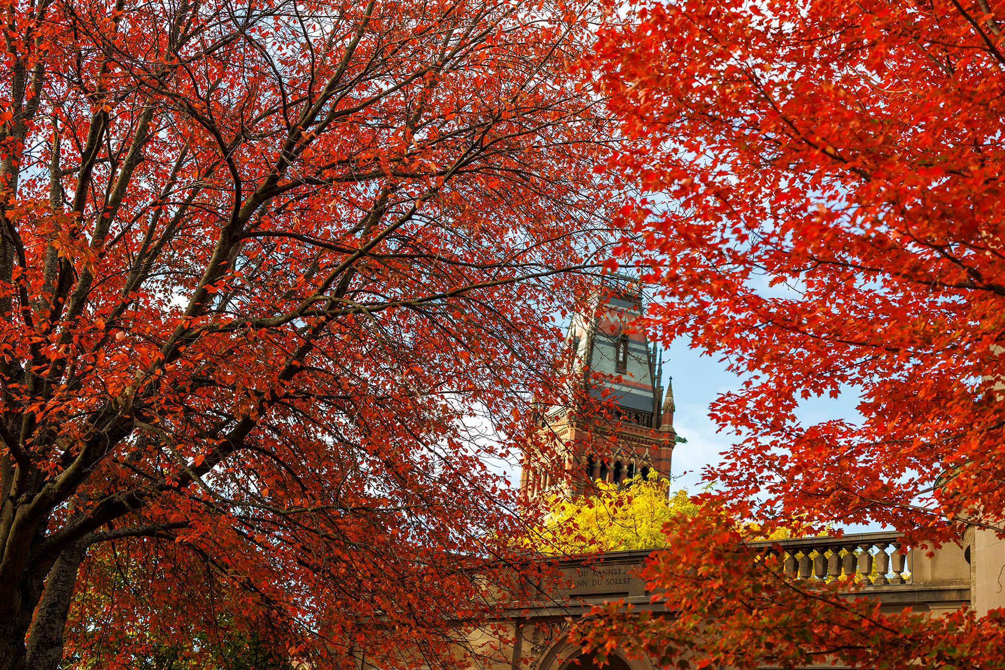 Memorial Minute for Nikolaas Johannes Van Der Merwe, 85 - Harvard Gazette