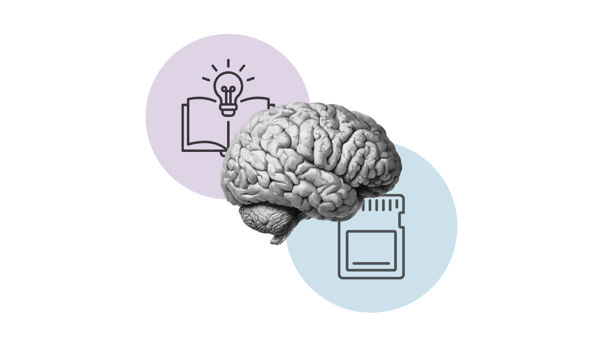 Preserving learning in the age of AI shortcuts — Harvard Gazette