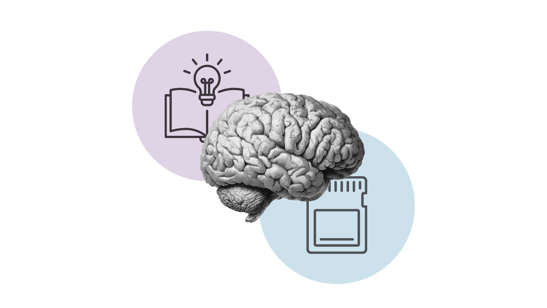 Preserving learning in the age of AI shortcuts — Harvard Gazette