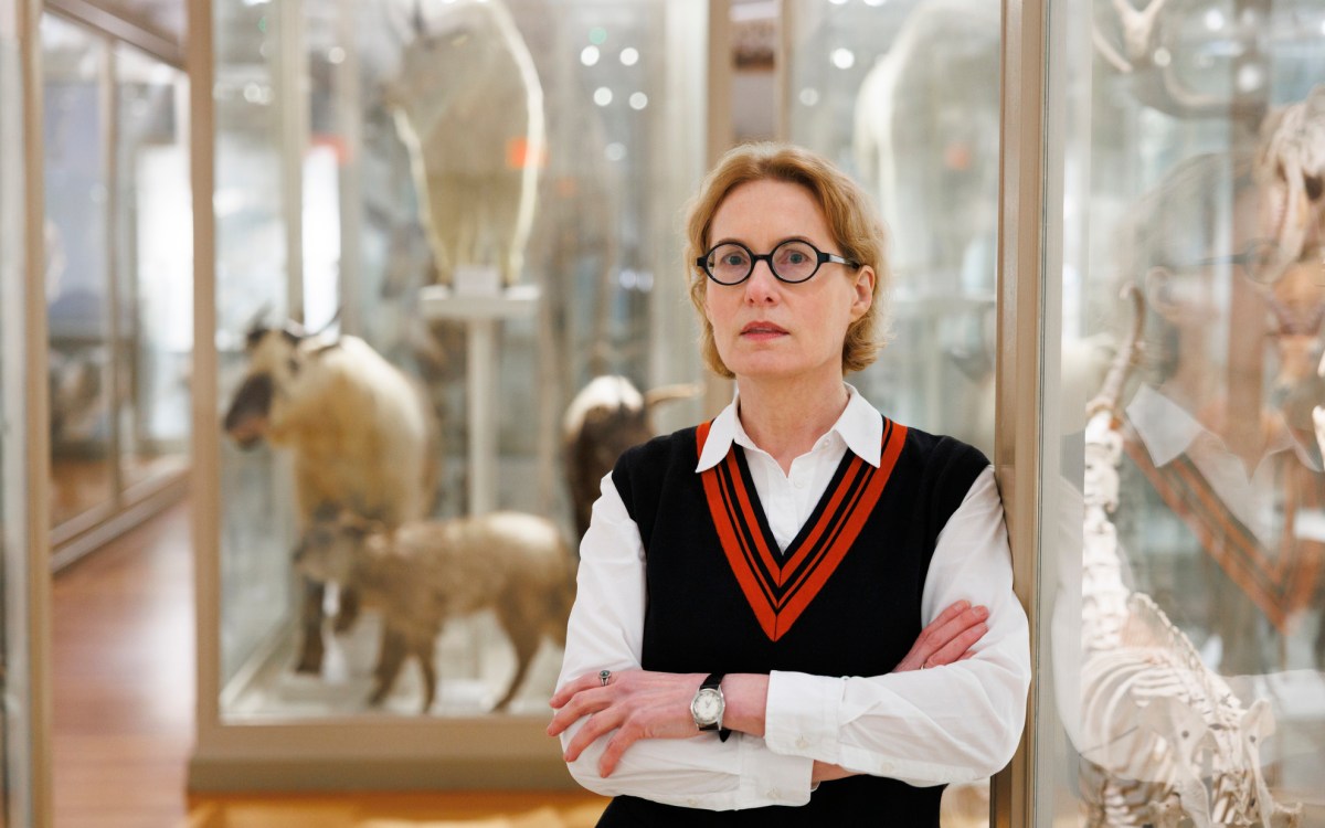 A portrait of Joyce Chaplin.