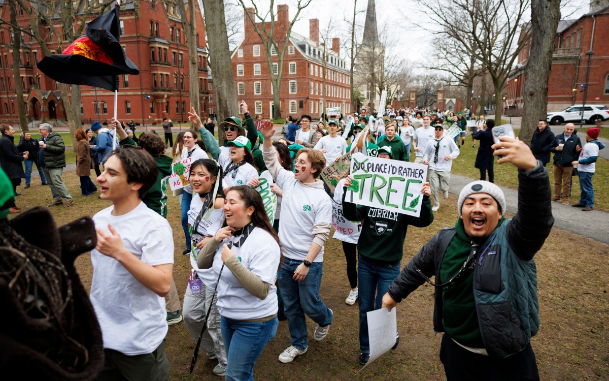 Students from Currier House arriving into Harvard Yard.