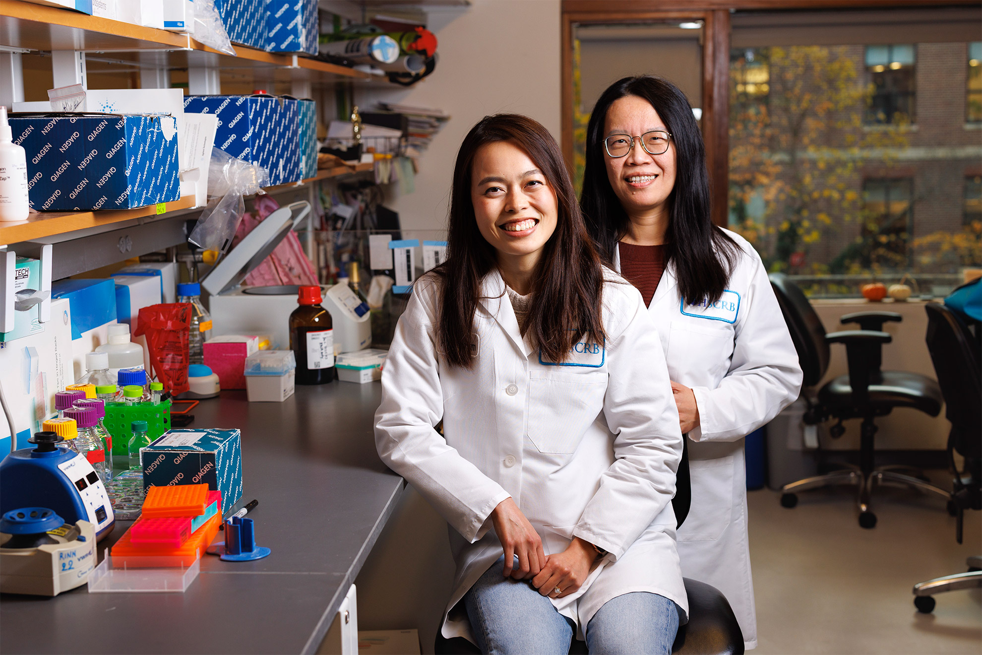 Study suggests healing skin without scarring may be possible - Harvard Gazette