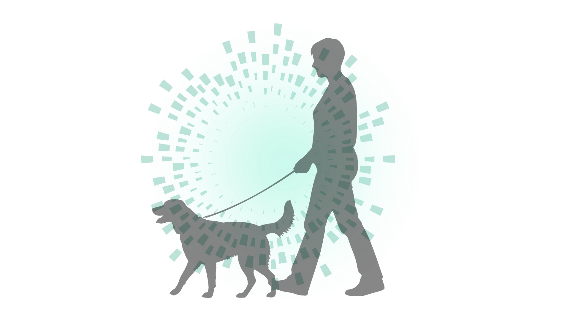 Why we love dogs — and they love us back — Harvard Gazette