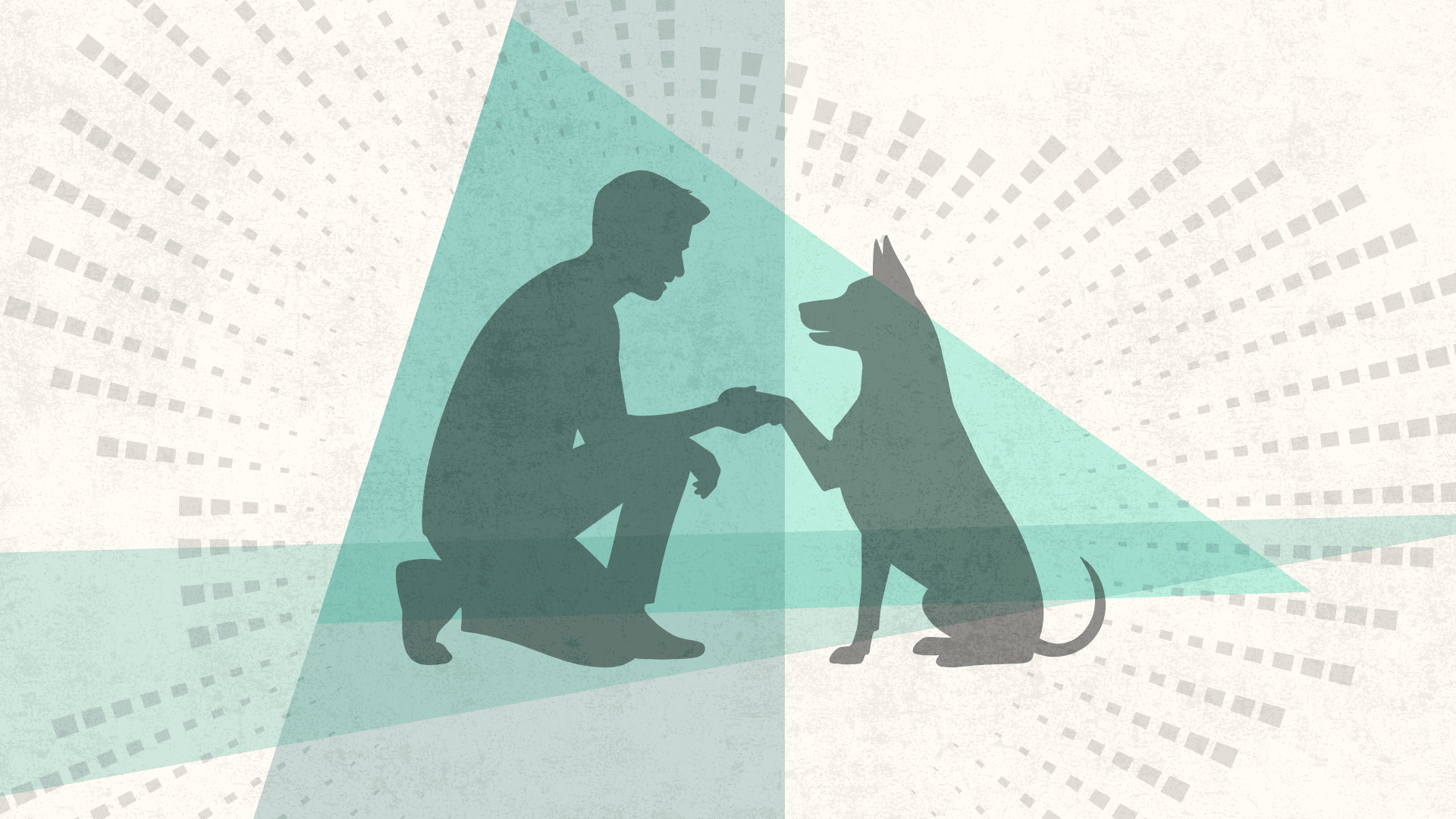 Why we love dogs — and they love us back — Harvard Gazette