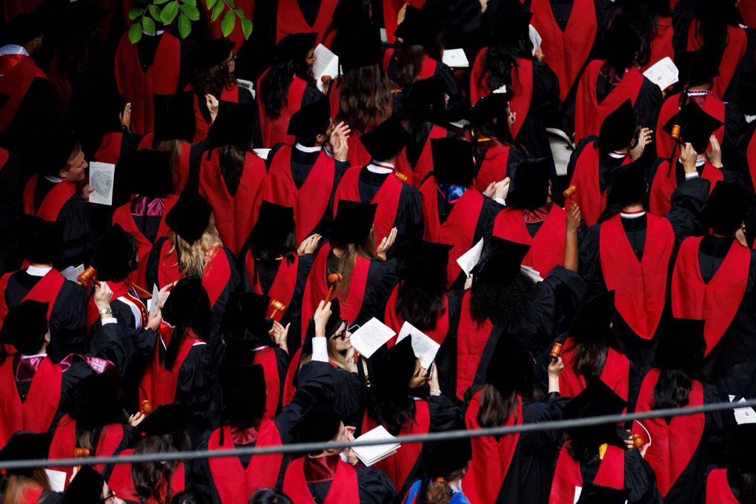 Harvard Law School graduates