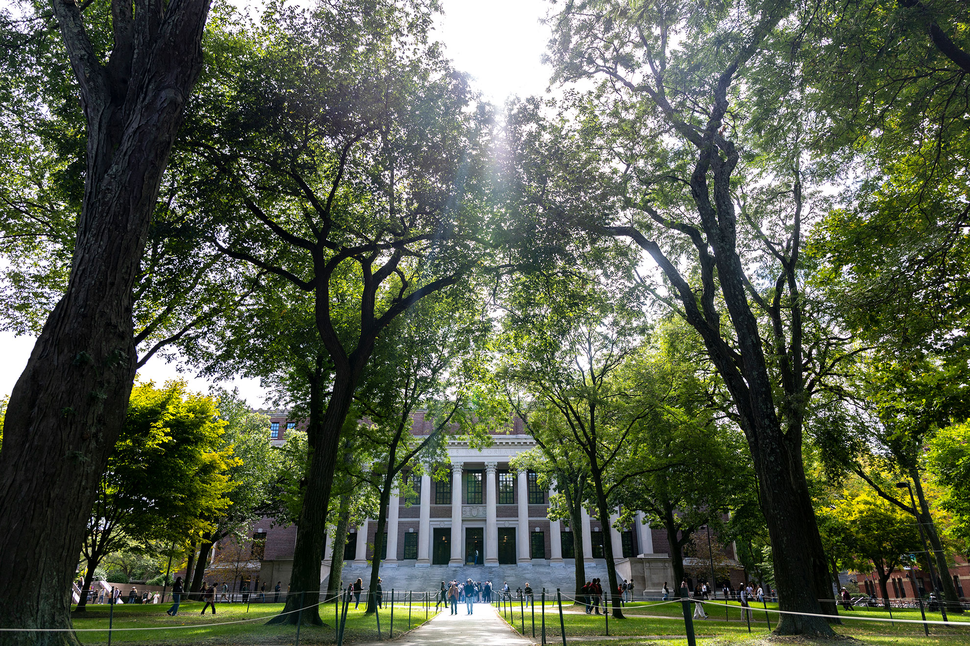 Widener Library.