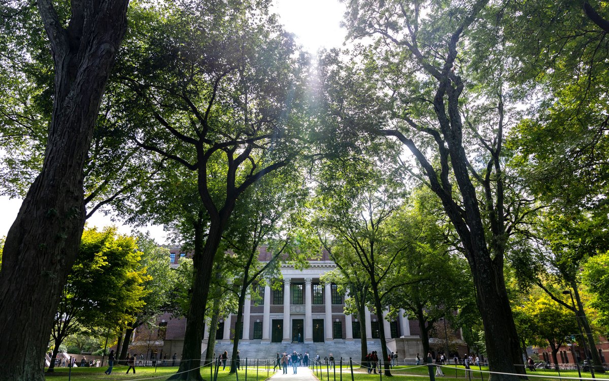 Widener Library.