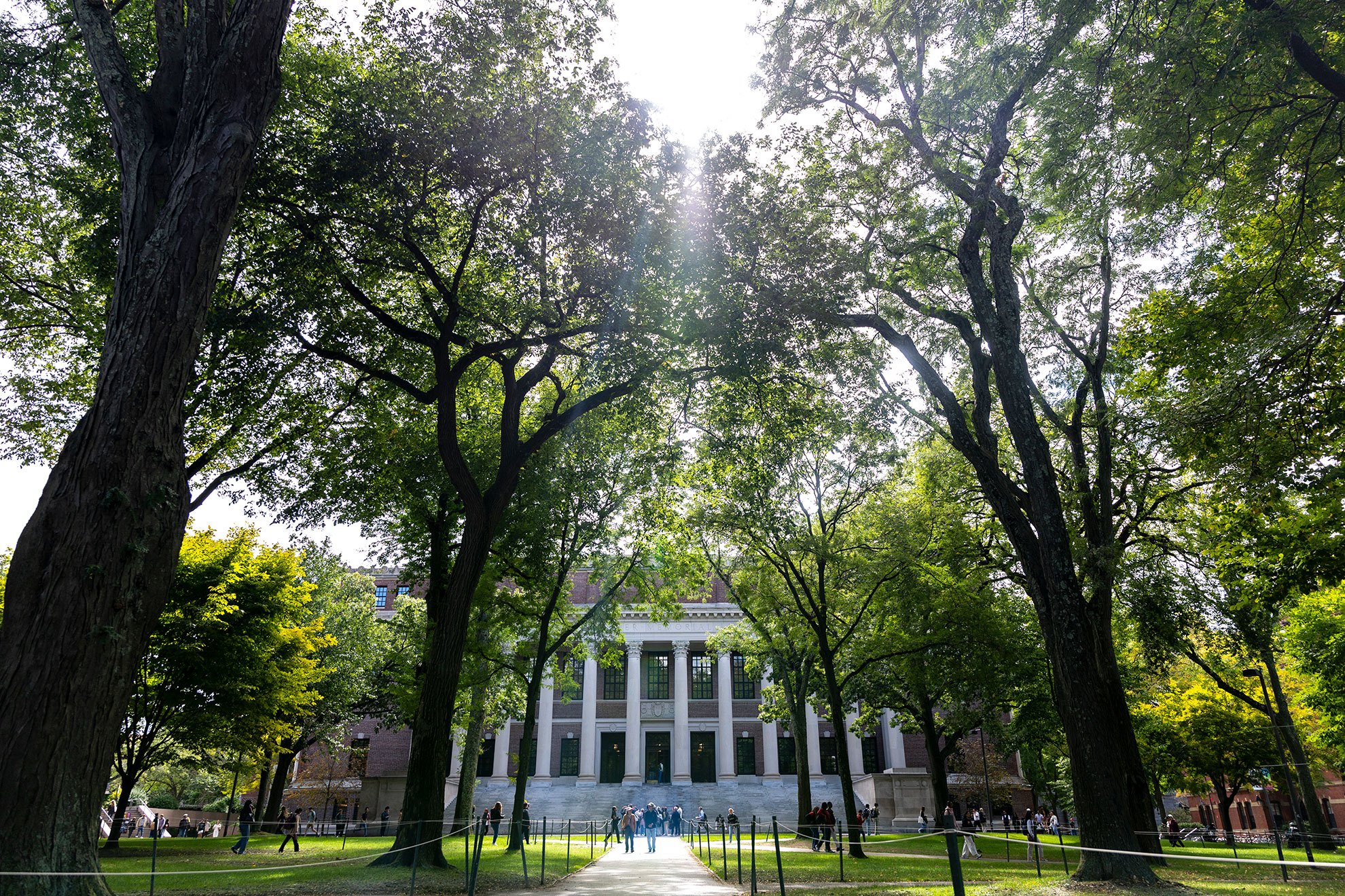 Alumni elect new Overseers and HAA directors — Harvard Gazette