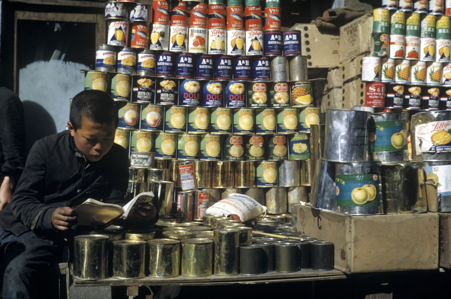 A boy reads a textbook at a market stall stocked with canned goods.