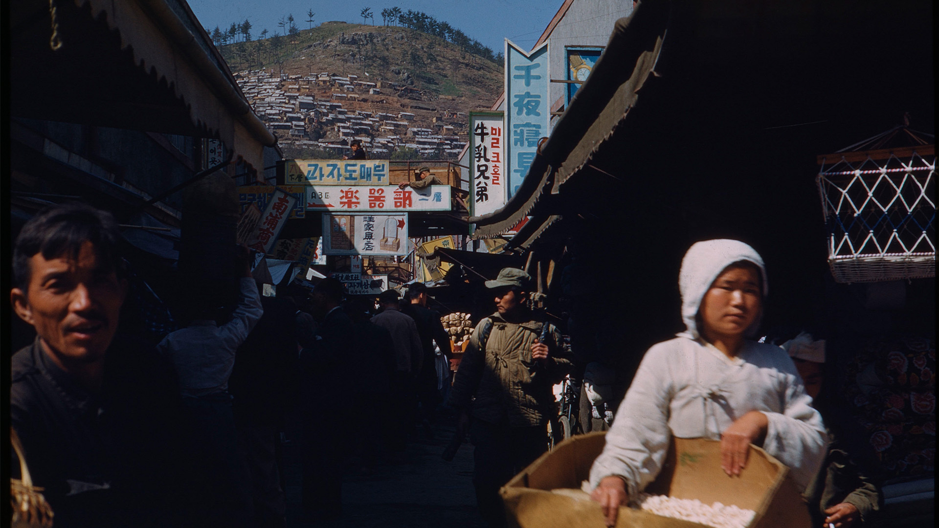 'Images of vitality and hope' amid ravages of war - Harvard Gazette