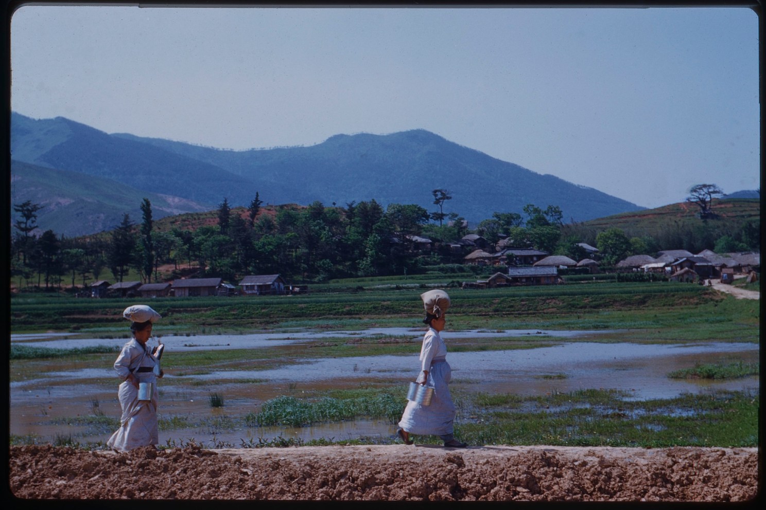 Two women walk by a rice paddy.