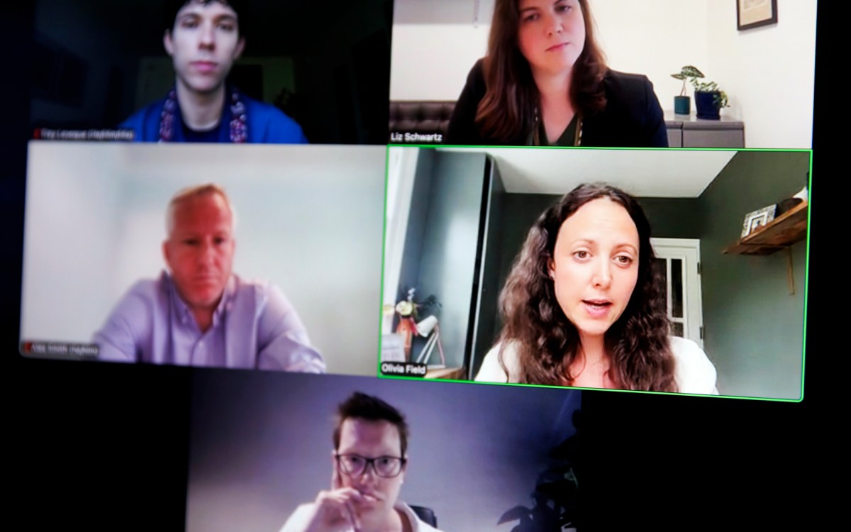 Webinar panelists.