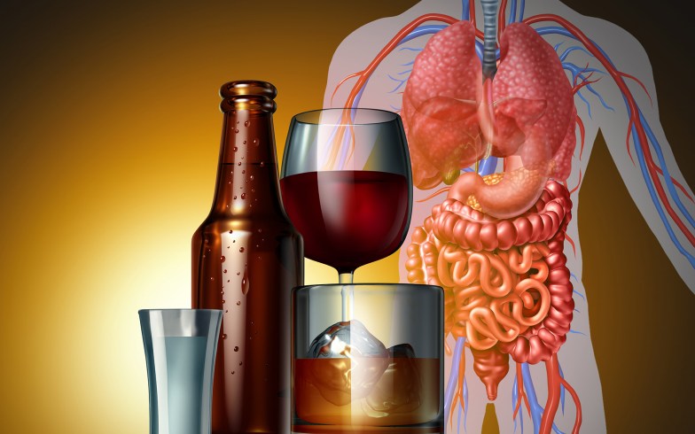 Illustration of alcohol and glasses as a medical riskon the human body as cancer or dangerous health.