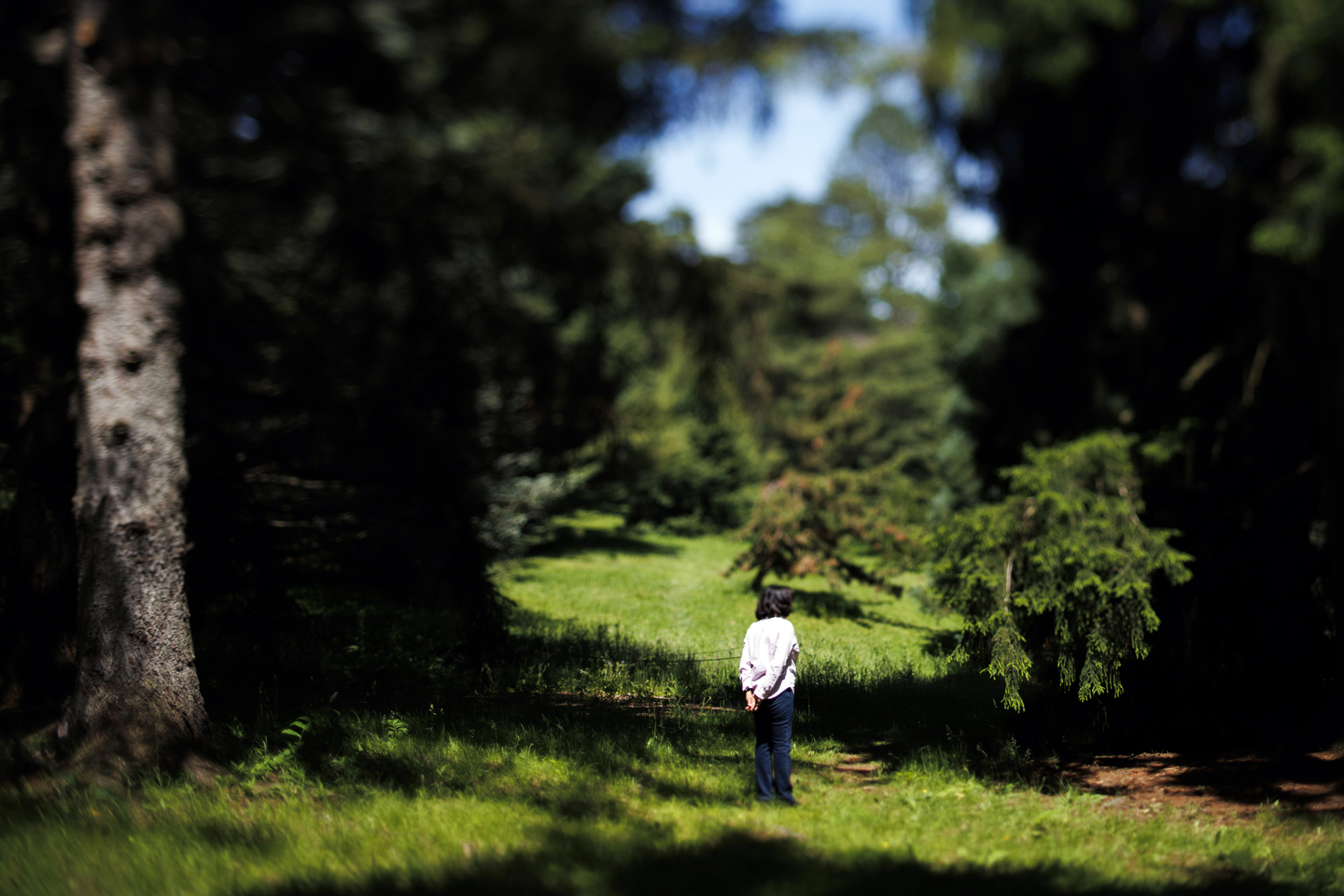 Susan Abookire standing in the woods 