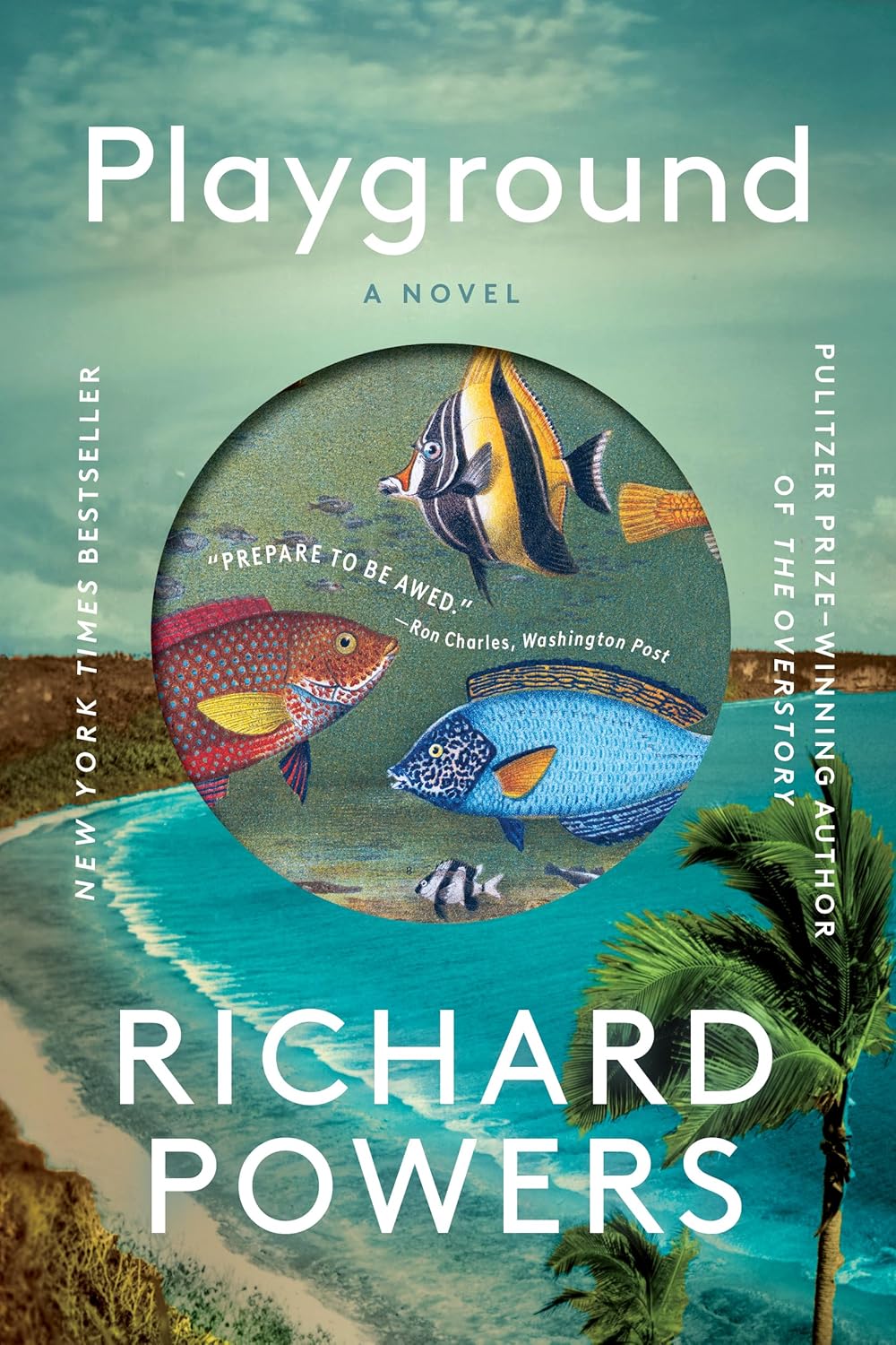 Book cover: "Playground."