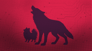 wolf and small Pomeranian