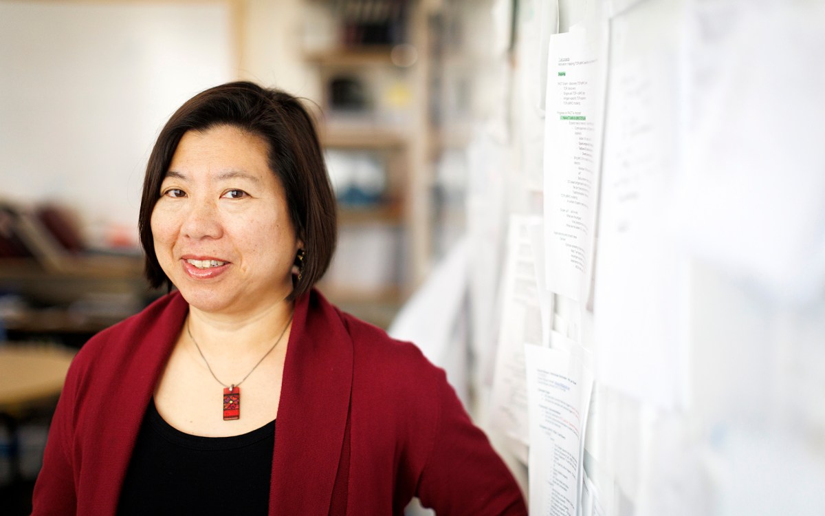 Catherine Wu.