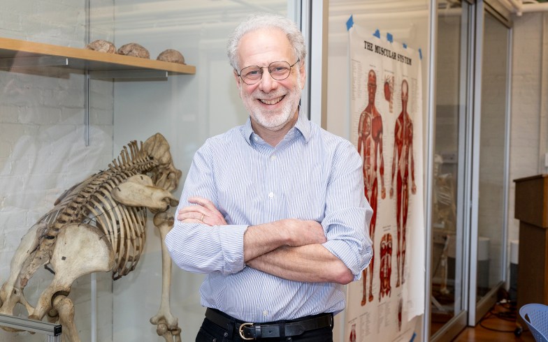 Dan Lieberman.