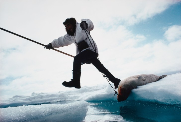 A hunter leaps between ice floes. 