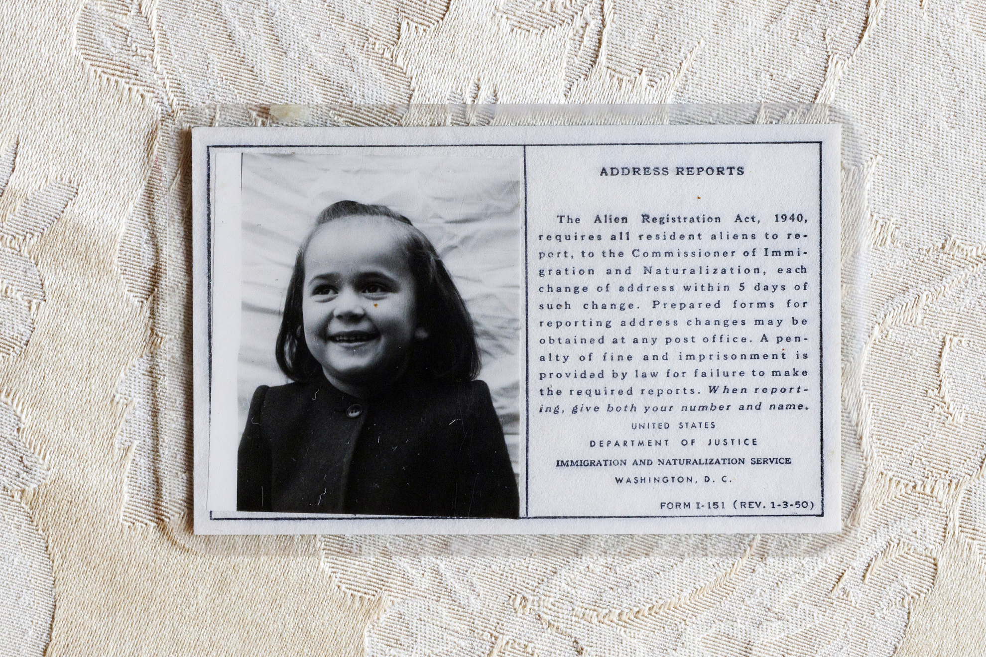 Detail of Maria Tatar’s childhood immigration identification card.