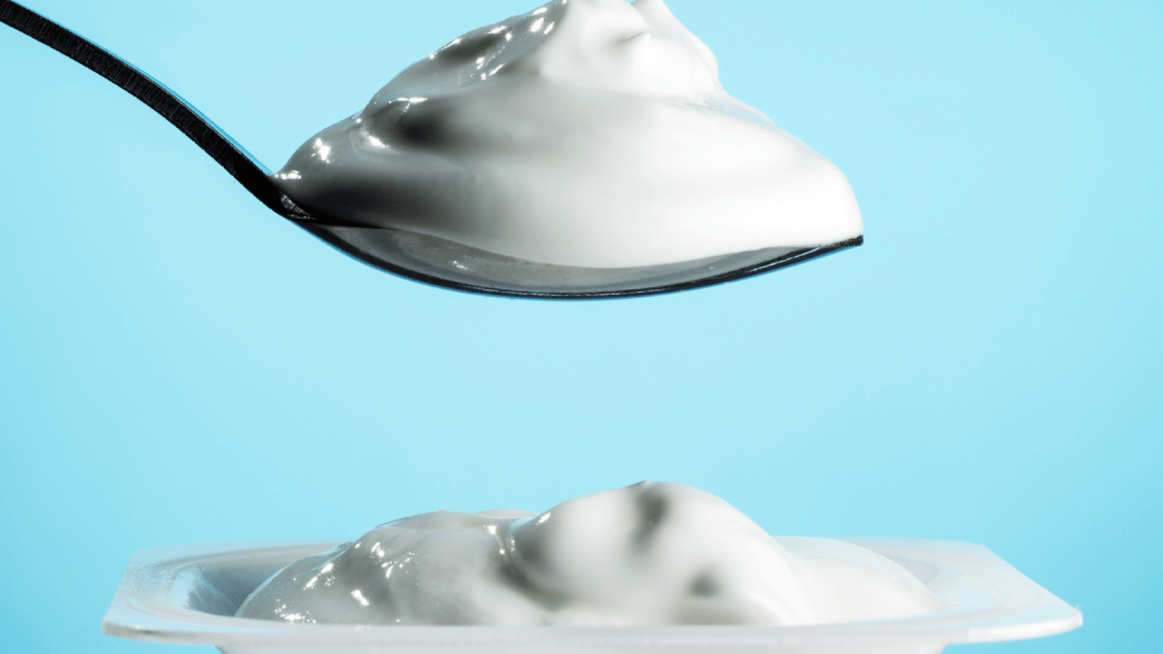 yogurt