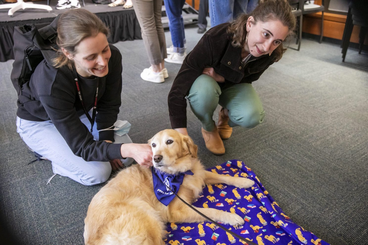 Students pet therapy dog 