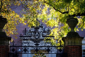 View through gate leading to Harvard Yard.